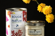 Couleur safran bougie citron